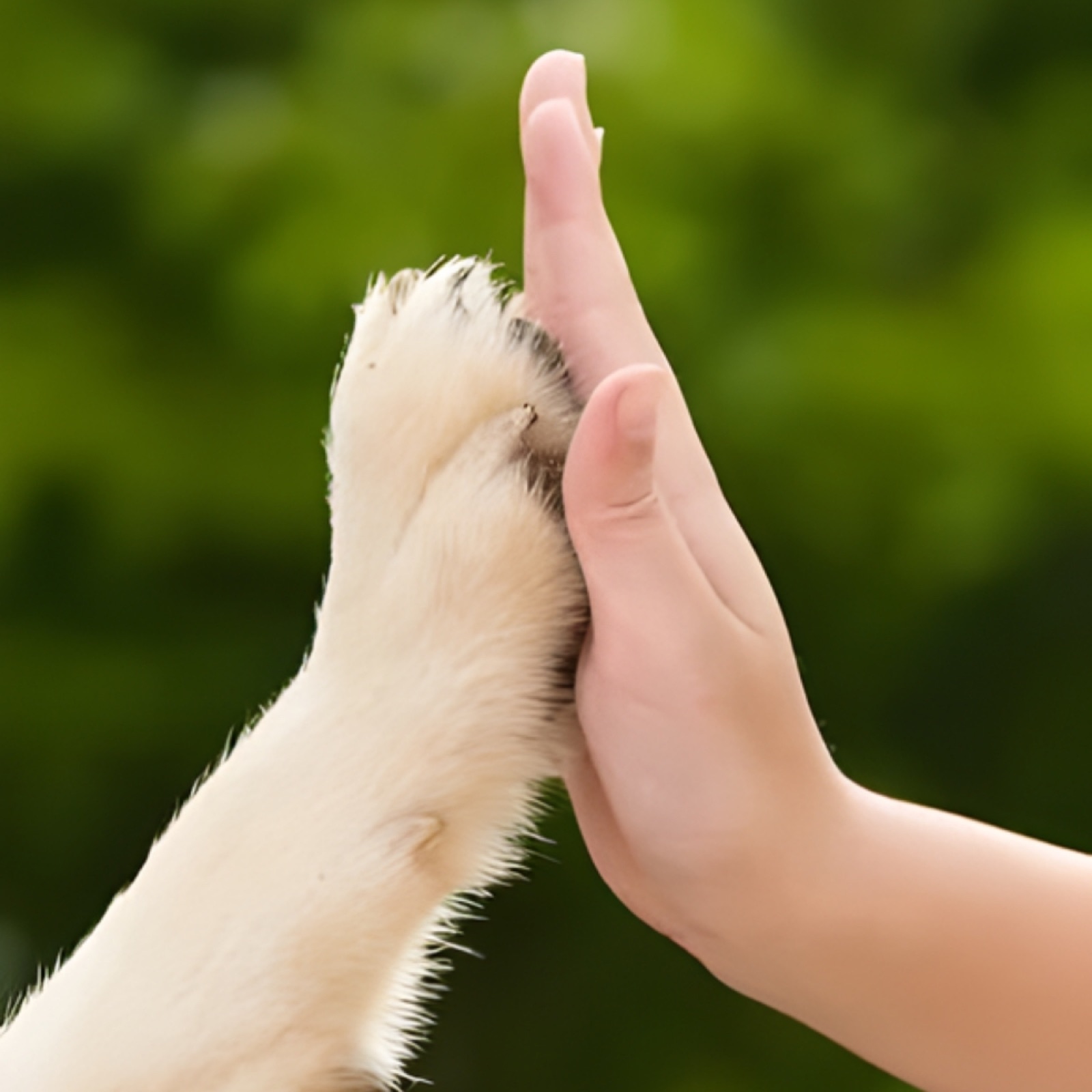 Perro junto a su familia