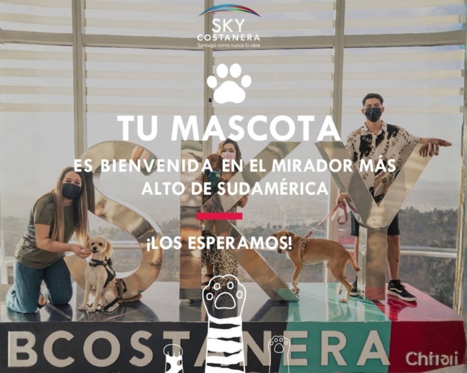 Sky Costanera, mirador pet-friendly