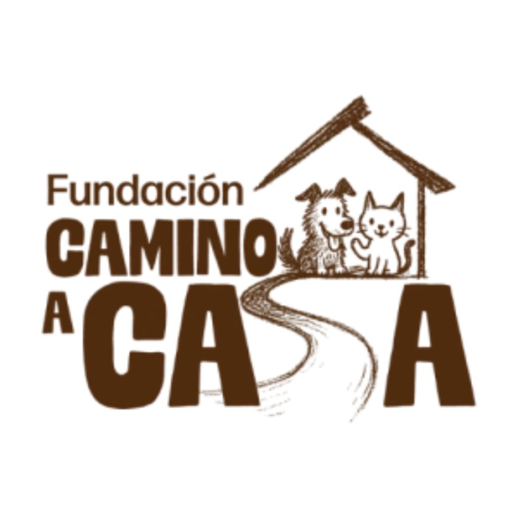 Fundación Camino