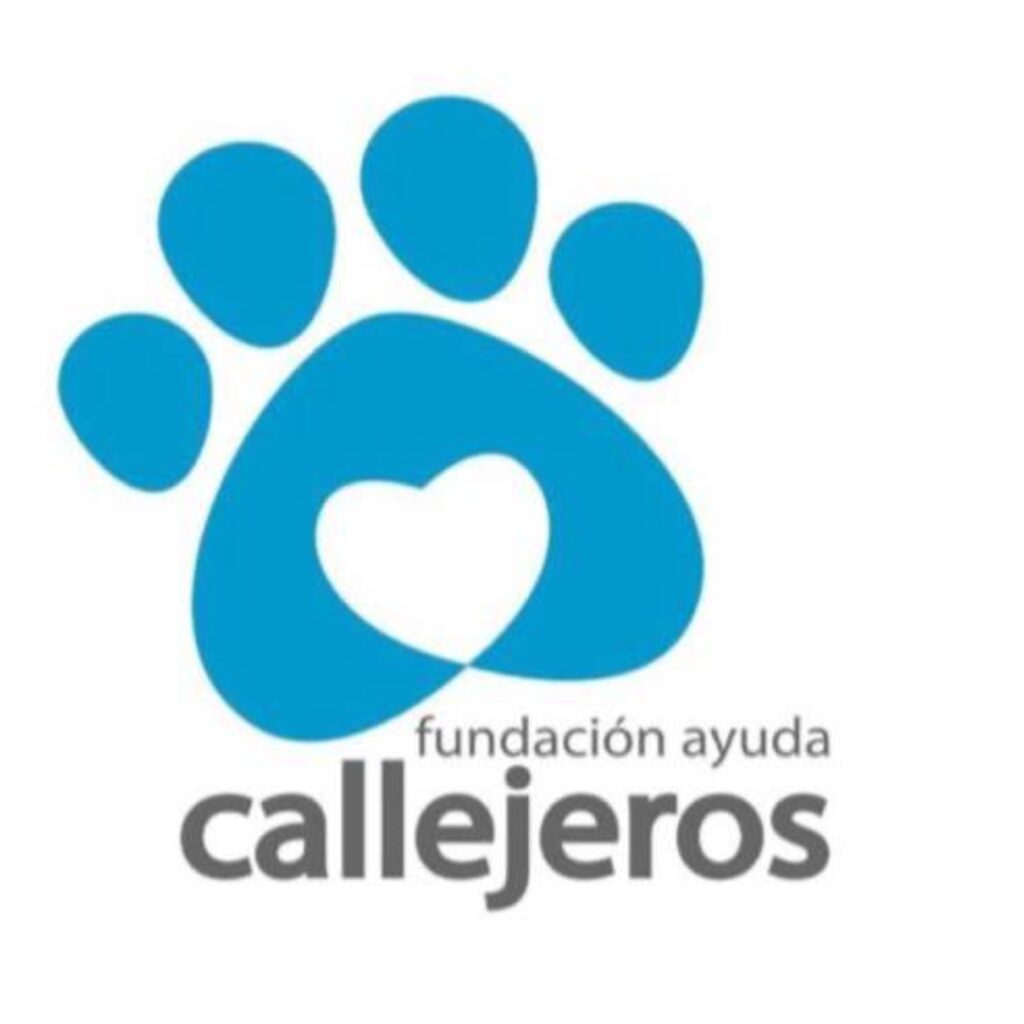 Fundación Callejeros